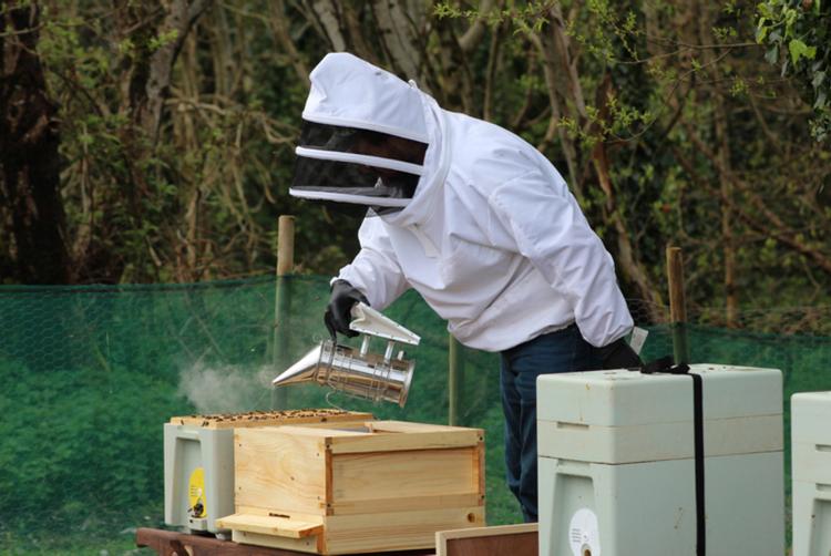 Renvyle House Hotel & Resort | Connemara, Co. Galway, H91 X8Y8 | 5