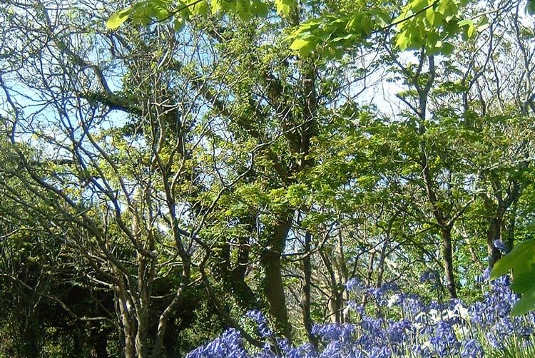 Renvyle House Hotel & Resort | Connemara, Co. Galway, H91 X8Y8 | 7