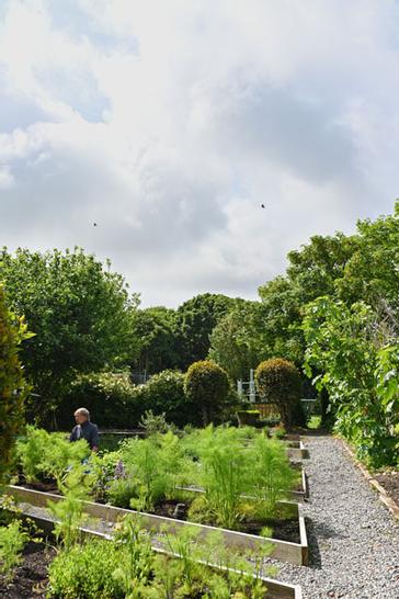 Renvyle House Hotel & Resort | Connemara, Co. Galway, H91 X8Y8 | Photos 19