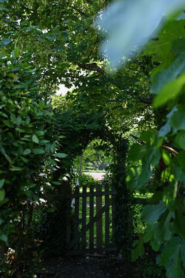 Renvyle House Hotel & Resort | Connemara, Co. Galway, H91 X8Y8 | Photos 17