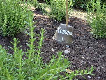 Renvyle House Hotel & Resort | Connemara, Co. Galway, H91 X8Y8 | Photos 18