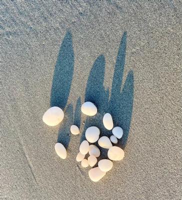 Renvyle House Hotel & Resort | Connemara, Co. Galway, H91 X8Y8 | Photos 19