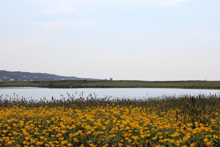 Renvyle House Hotel & Resort | Connemara, Co. Galway, H91 X8Y8 | 7