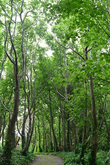 Renvyle House Hotel & Resort | Connemara, Co. Galway, H91 X8Y8 | Photos 22