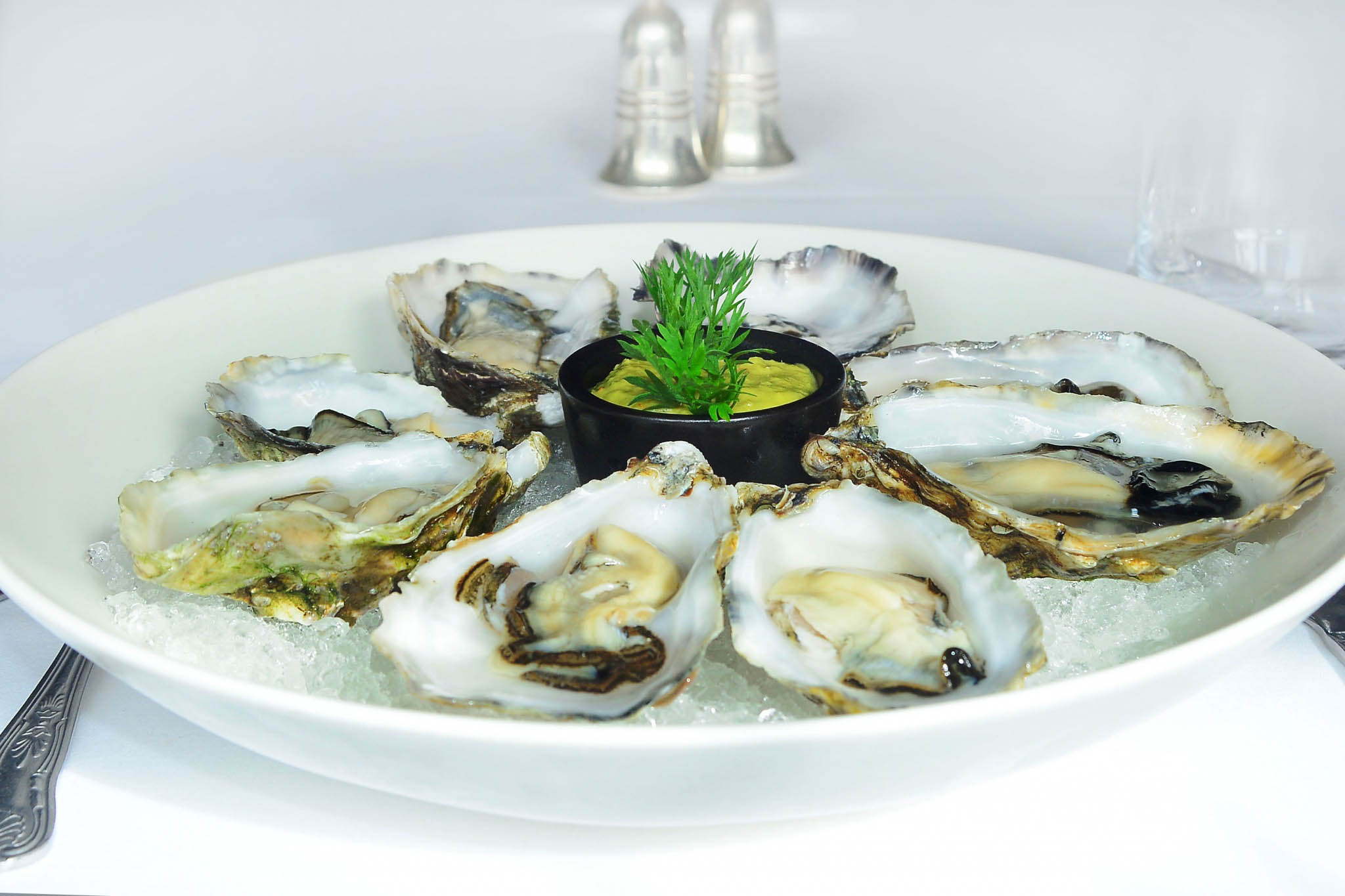 a plate of oysters on ice